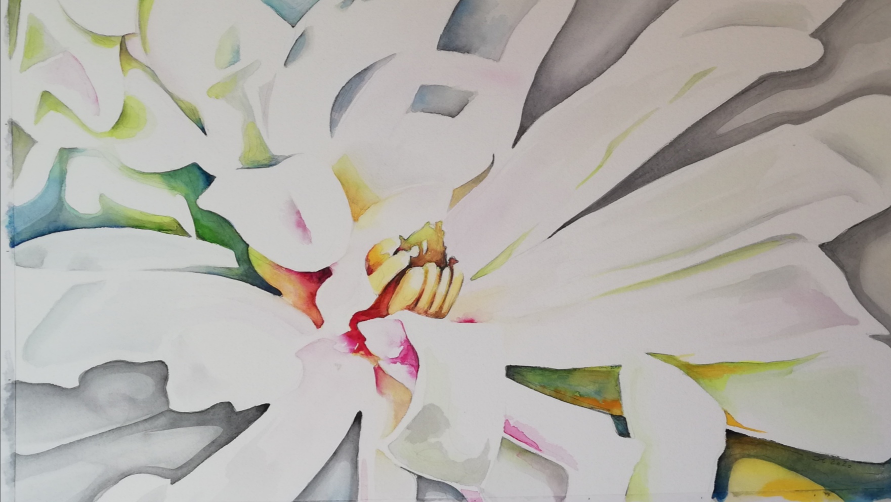 Aquarellbild einer weissen Pfingstrose vor blauem Hintergrund